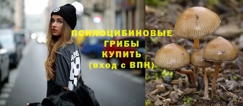 Псилоцибиновые грибы Magic Shrooms  цена   omg вход  Карпинск 